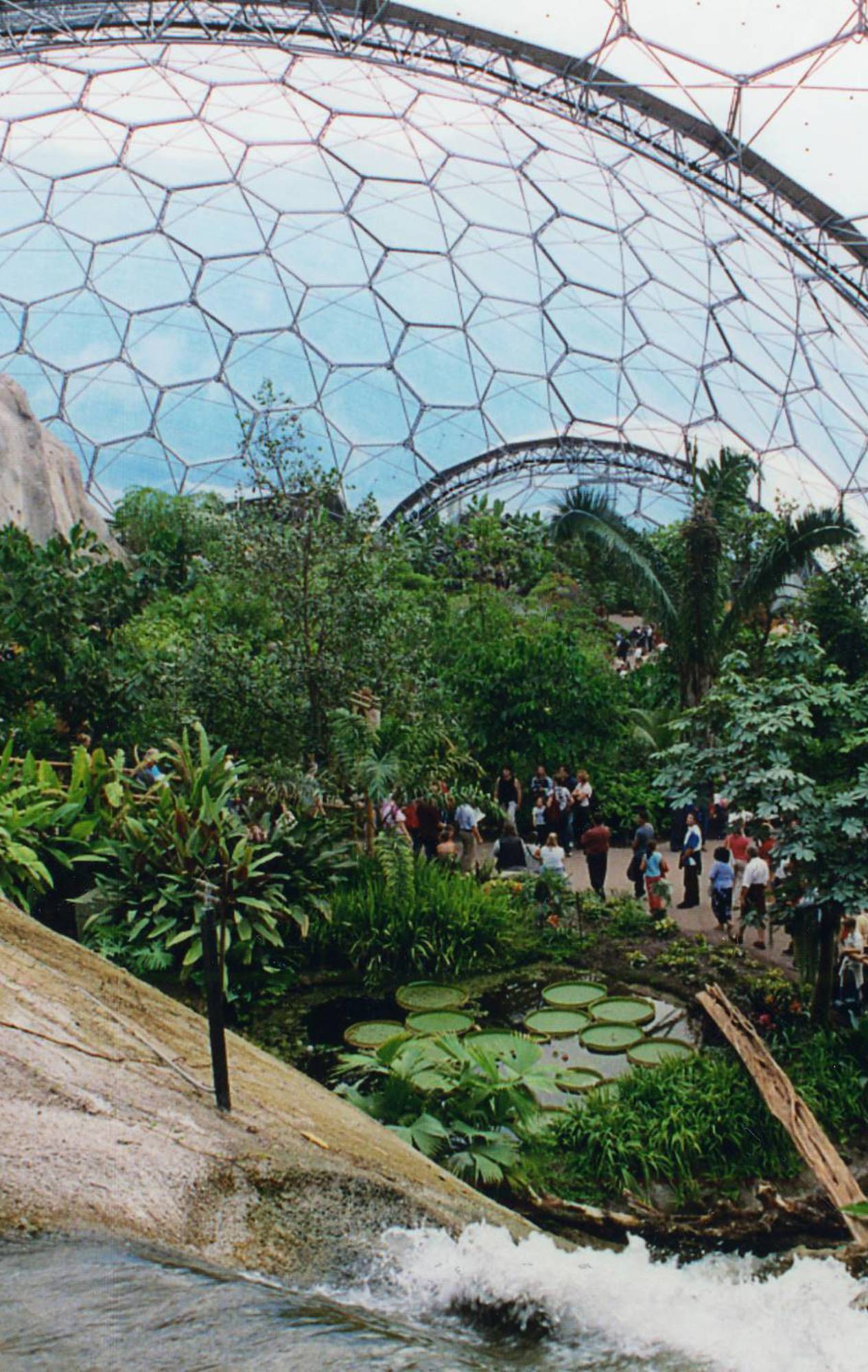 Tourists walking through the lush, verdant rainforest biome