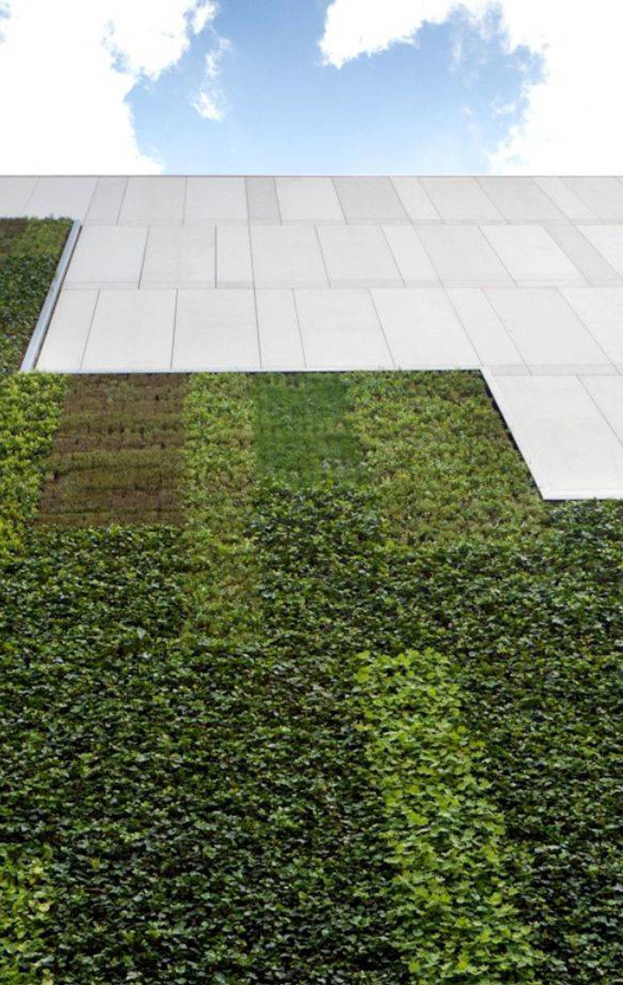 green living wall